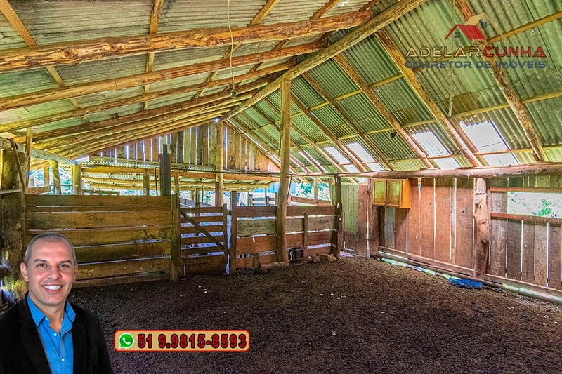 Chácara 2.6 hectares à VENDA em Três Coroas - RS : 4ª foto da galeria de imagens do imóvel