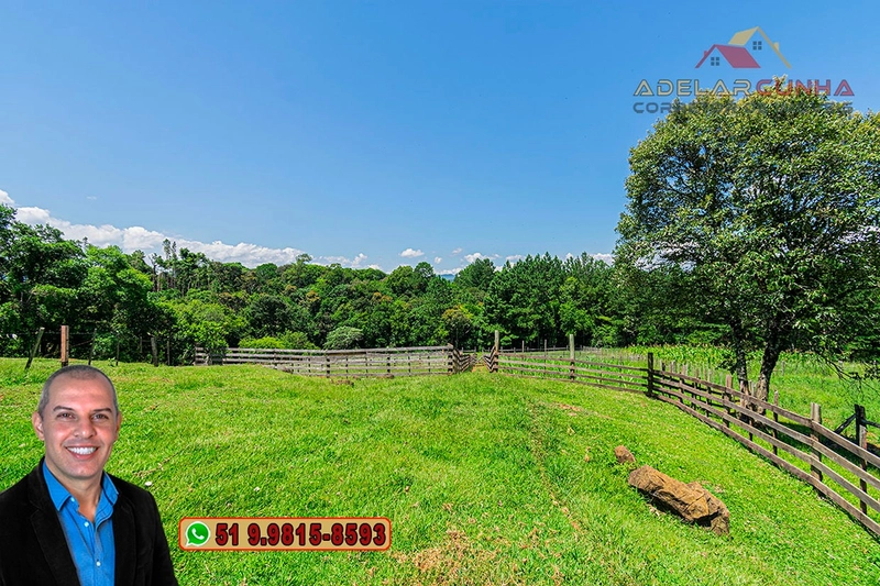 Chácara 2.6 hectares à VENDA em Três Coroas - RS : 12ª foto da galeria de imagens do imóvel