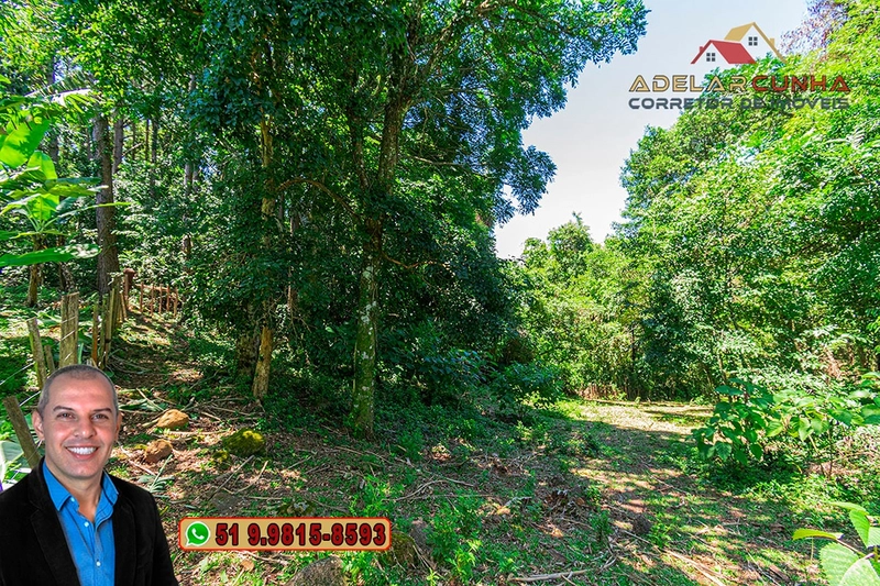 Chácara 2.6 hectares à VENDA em Três Coroas - RS : 17ª foto da galeria de imagens do imóvel