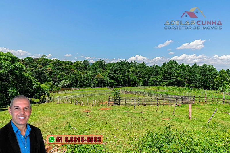 Chácara 2.6 hectares à VENDA em Três Coroas - RS : 15ª foto da galeria de imagens do imóvel