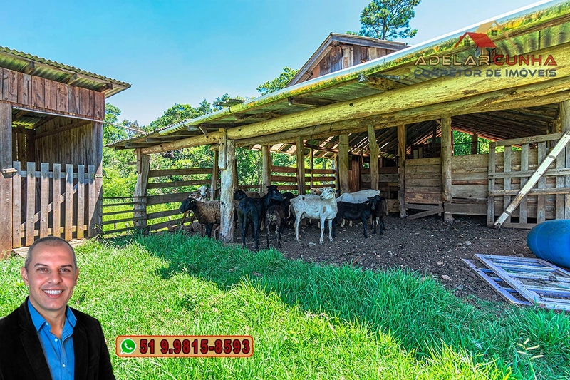 Chácara 2.6 hectares à VENDA em Três Coroas - RS : 8ª foto da galeria de imagens do imóvel