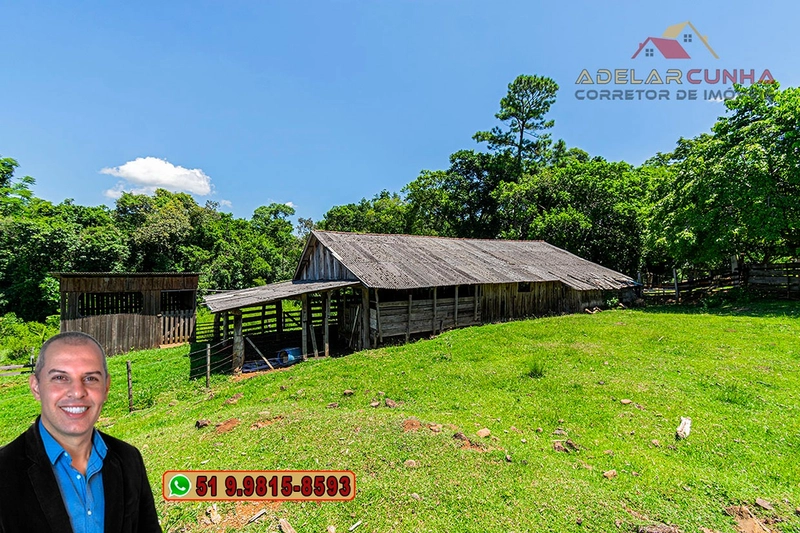 Chácara 2.6 hectares à VENDA em Três Coroas - RS : 7ª foto da galeria de imagens do imóvel