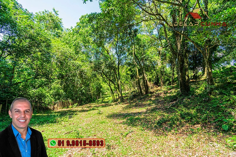 Chácara 2.6 hectares à VENDA em Três Coroas - RS : 18ª foto da galeria de imagens do imóvel