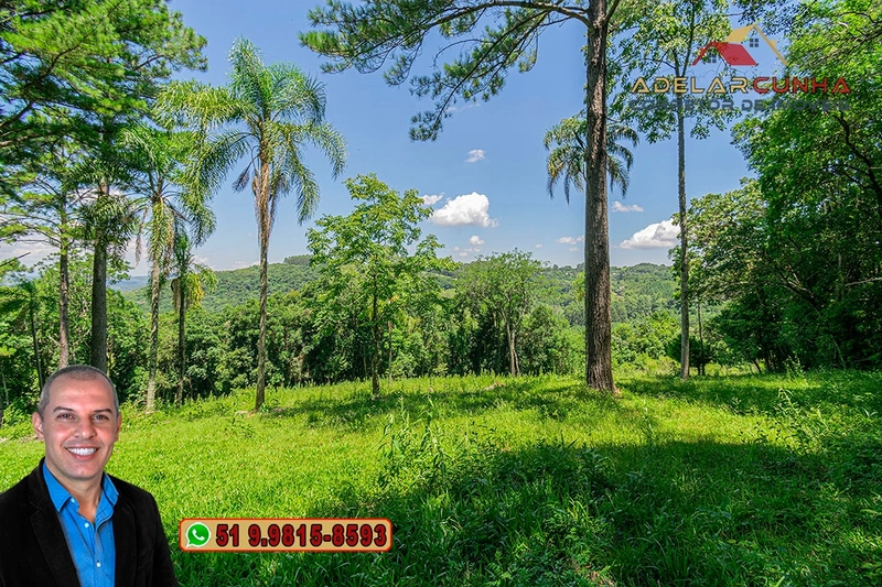 Chácara 2.6 hectares à VENDA em Três Coroas - RS : 37ª foto da galeria de imagens do imóvel