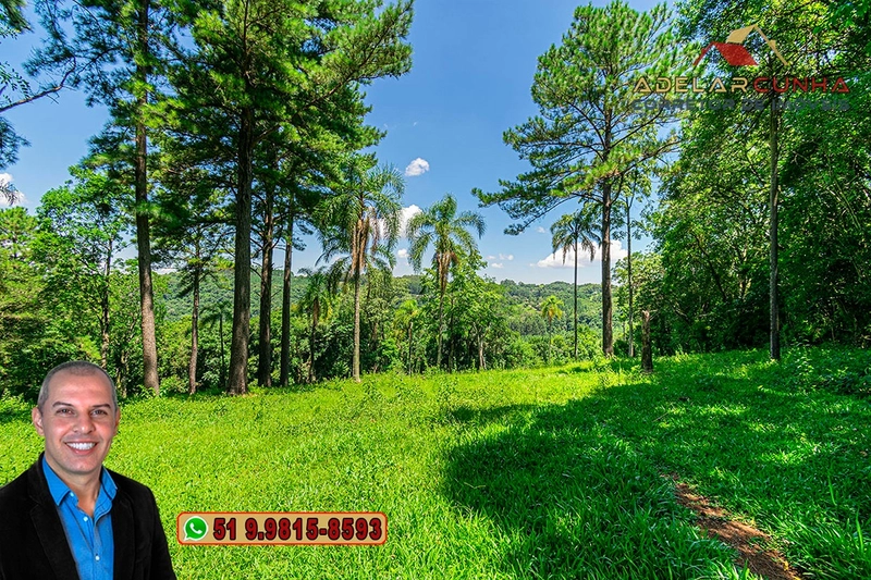 Chácara 2.6 hectares à VENDA em Três Coroas - RS : 38ª foto da galeria de imagens do imóvel