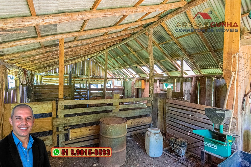 Chácara 2.6 hectares à VENDA em Três Coroas - RS : 3ª foto da galeria de imagens do imóvel