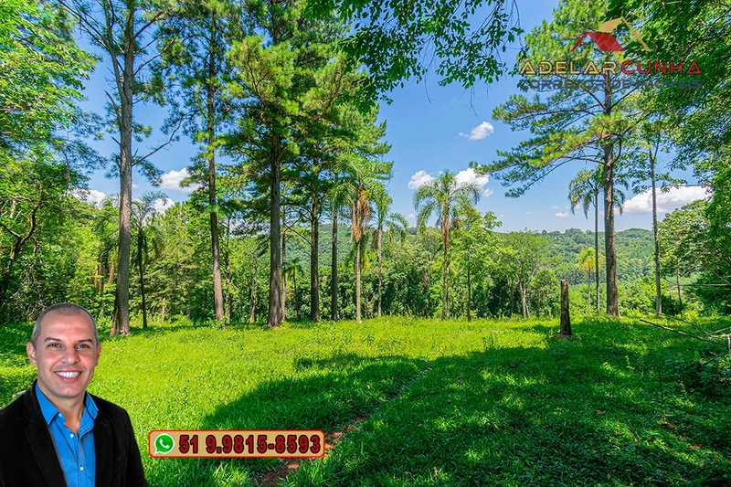 Chácara 2.6 hectares à VENDA em Três Coroas - RS : 39ª foto da galeria de imagens do imóvel