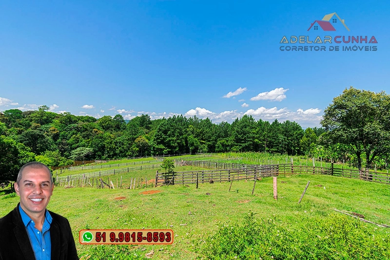 Chácara 2.6 hectares à VENDA em Três Coroas - RS : 14ª foto da galeria de imagens do imóvel