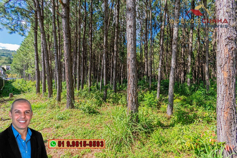 Terreno de 1.3 ha com frente para RS-115 à Venda em Igrejinha - RS: 12ª foto da galeria de imagens do imóvel