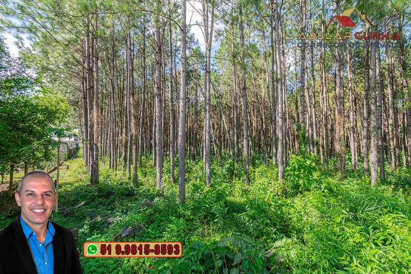 Terreno de 1.3 ha com frente para RS-115 à Venda em Igrejinha - RS: 15ª foto da galeria de imagens do imóvel