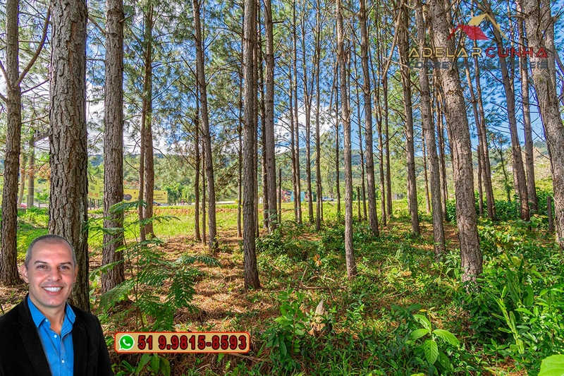 Terreno de 1.3 ha com frente para RS-115 à Venda em Igrejinha - RS: 7ª foto da galeria de imagens do imóvel