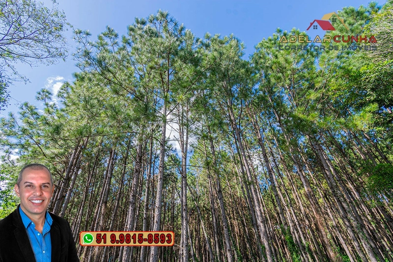 Terreno de 1.3 ha com frente para RS-115 à Venda em Igrejinha - RS: 16ª foto da galeria de imagens do imóvel