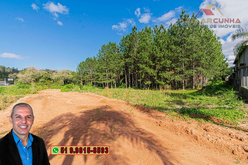 Terreno de 1.3 ha com frente para RS-115 à Venda em Igrejinha - RS: 4ª foto da galeria de imagens do imóvel