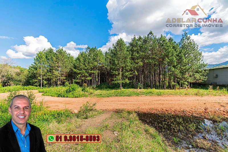 Terreno de 1.3 ha com frente para RS-115 à Venda em Igrejinha - RS: 3ª foto da galeria de imagens do imóvel