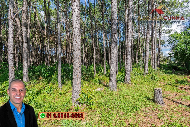 Terreno de 1.3 ha com frente para RS-115 à Venda em Igrejinha - RS: 13ª foto da galeria de imagens do imóvel