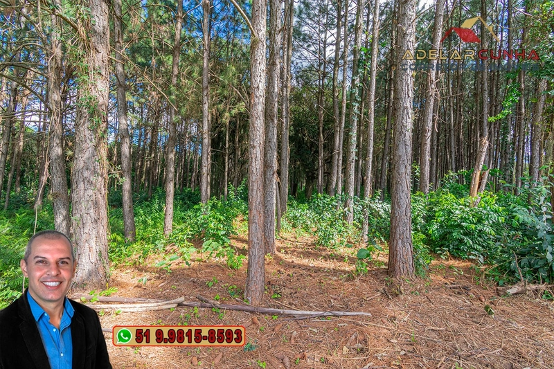 Terreno de 1.3 ha com frente para RS-115 à Venda em Igrejinha - RS: 10ª foto da galeria de imagens do imóvel