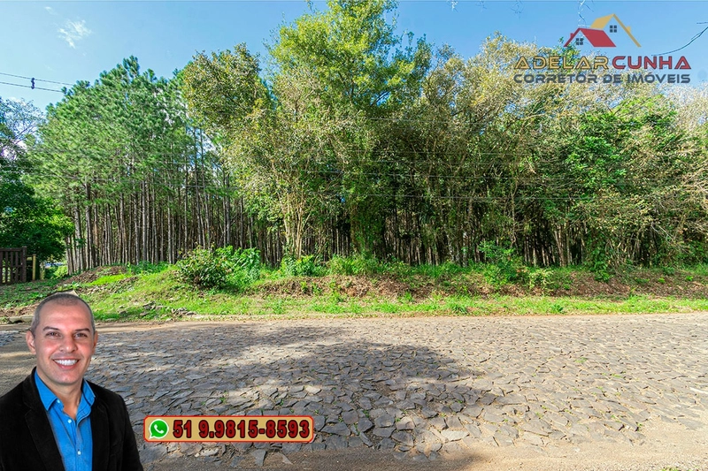 Terreno de 1.3 ha com frente para RS-115 à Venda em Igrejinha - RS: 17ª foto da galeria de imagens do imóvel