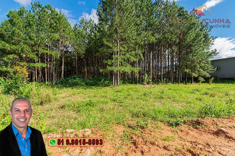 Terreno de 1.3 ha com frente para RS-115 à Venda em Igrejinha - RS: 5ª foto da galeria de imagens do imóvel