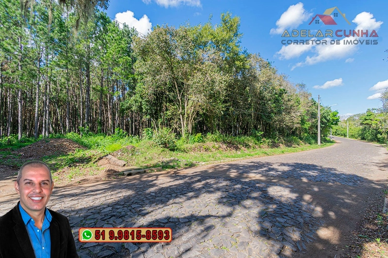 Terreno de 1.3 ha com frente para RS-115 à Venda em Igrejinha - RS: 18ª foto da galeria de imagens do imóvel
