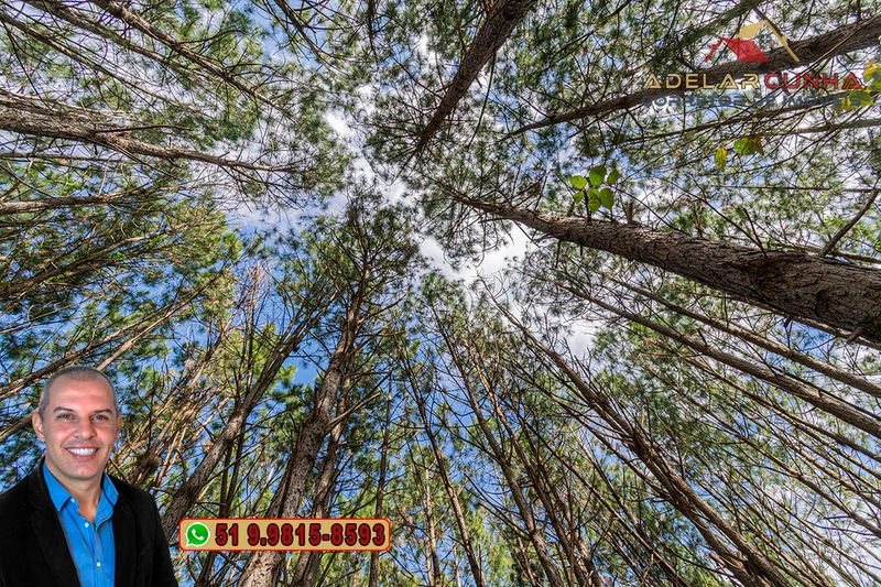 Terreno de 1.3 ha com frente para RS-115 à Venda em Igrejinha - RS: 8ª foto da galeria de imagens do imóvel