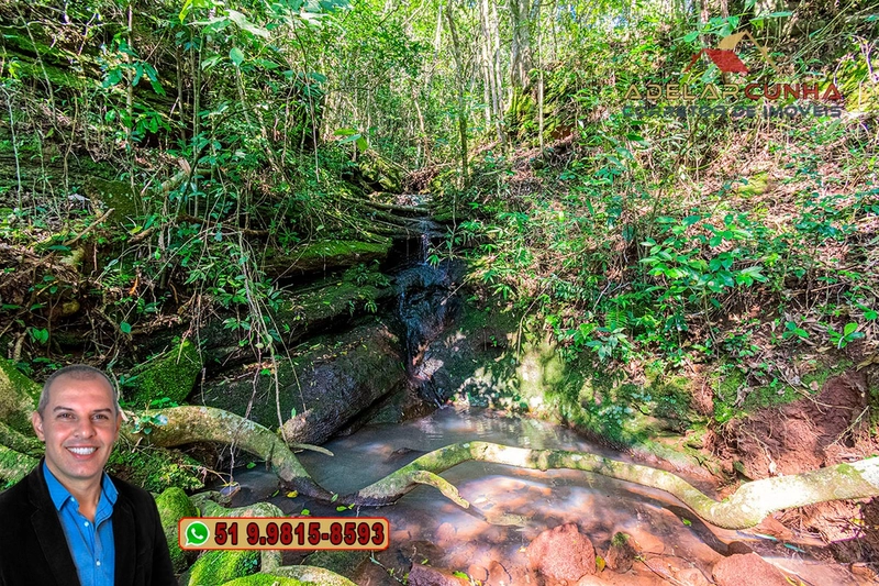 Sítio de 22.5 hectares à VENDA em Taquara - RS: 36ª foto da galeria de imagens do imóvel