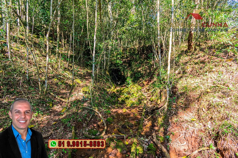 Sítio de 22.5 hectares à VENDA em Taquara - RS: 35ª foto da galeria de imagens do imóvel