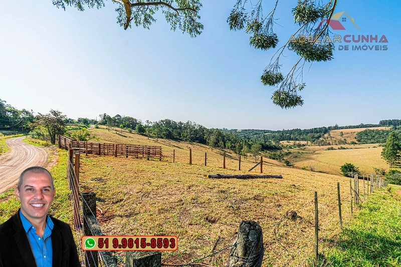 Sítio de 22.5 hectares à VENDA em Taquara - RS: 6ª foto da galeria de imagens do imóvel