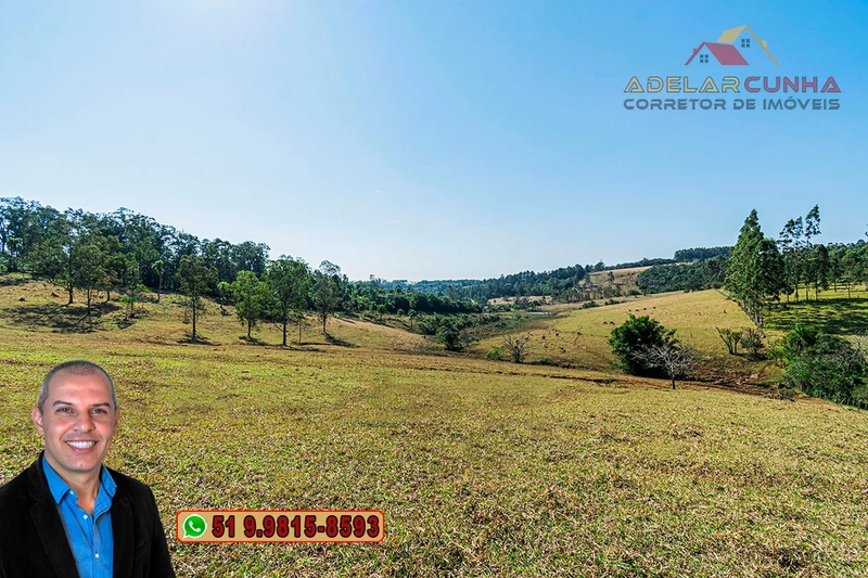 Sítio de 22.5 hectares à VENDA em Taquara - RS: 11ª foto da galeria de imagens do imóvel