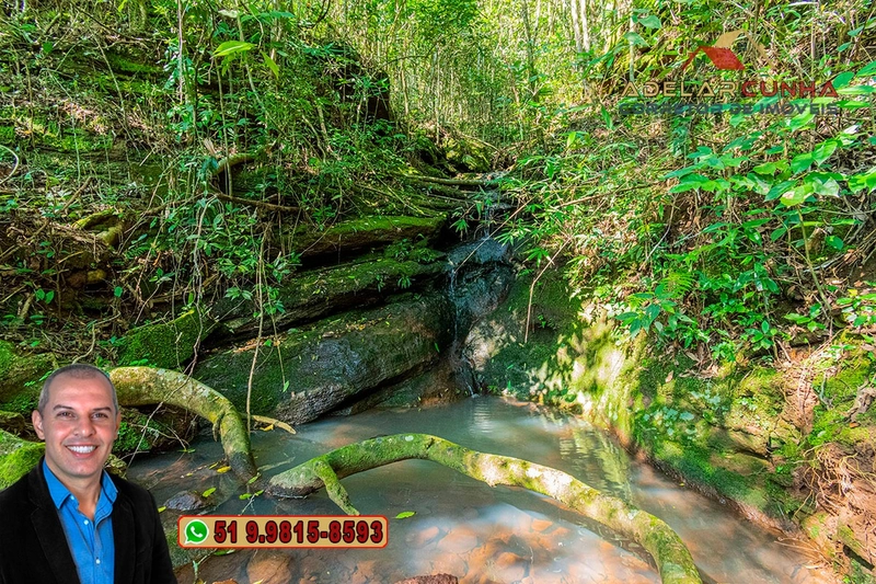 Sítio de 22.5 hectares à VENDA em Taquara - RS: 37ª foto da galeria de imagens do imóvel