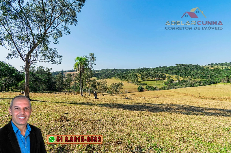 Sítio de 22.5 hectares à VENDA em Taquara - RS: 10ª foto da galeria de imagens do imóvel