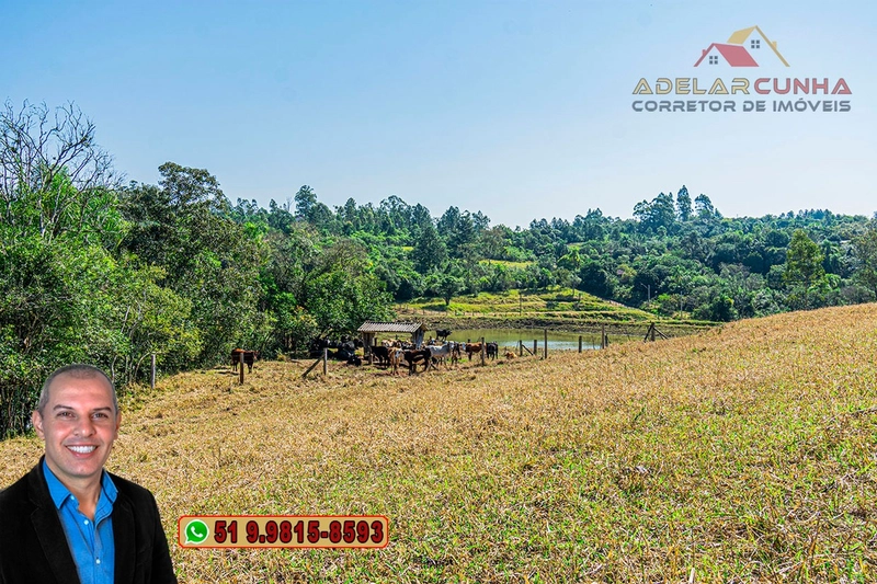 Sítio de 22.5 hectares à VENDA em Taquara - RS: 27ª foto da galeria de imagens do imóvel