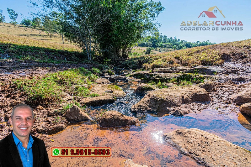 Sítio de 22.5 hectares à VENDA em Taquara - RS: 13ª foto da galeria de imagens do imóvel