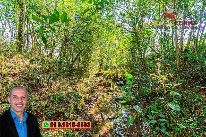 Sítio de 22.5 hectares à VENDA em Taquara - RS: 34ª foto da galeria de imagens do imóvel