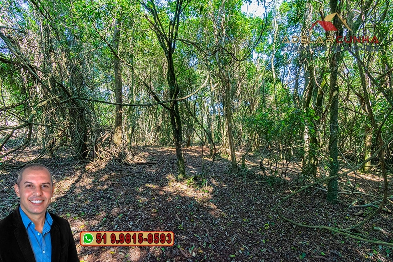 Sítio de 22.5 hectares à VENDA em Taquara - RS: 42ª foto da galeria de imagens do imóvel