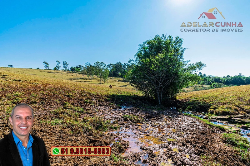 Sítio de 22.5 hectares à VENDA em Taquara - RS: 12ª foto da galeria de imagens do imóvel