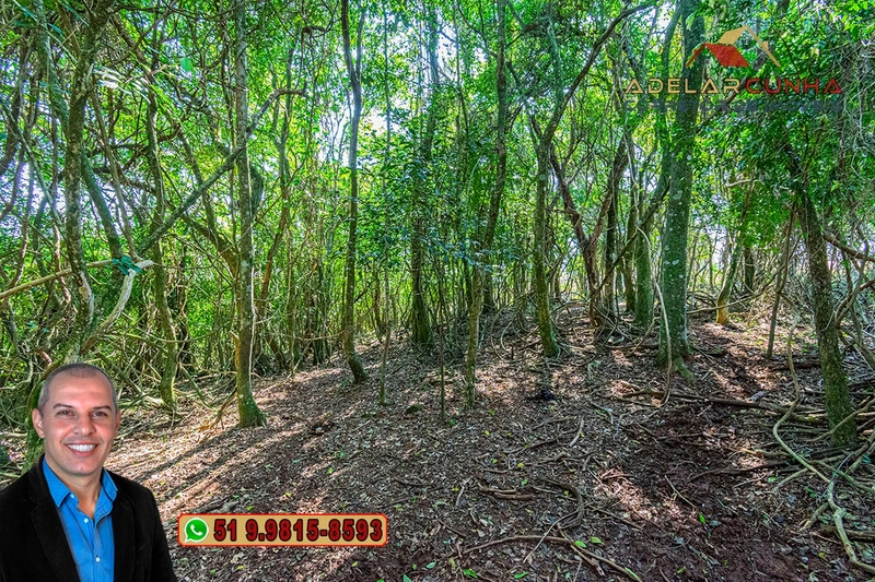 Sítio de 22.5 hectares à VENDA em Taquara - RS: 41ª foto da galeria de imagens do imóvel