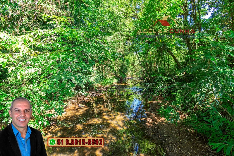 Sítio à Venda em Igrejinha: 7ª foto da galeria de imagens do imóvel