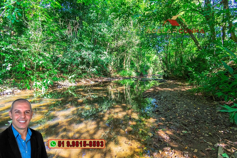 Sítio à Venda em Igrejinha: 8ª foto da galeria de imagens do imóvel