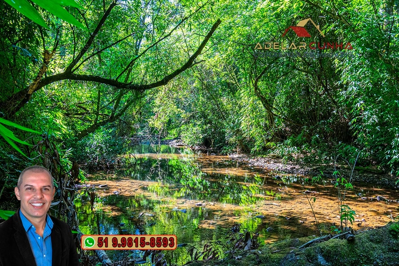 Sítio à Venda em Igrejinha: 5ª foto da galeria de imagens do imóvel