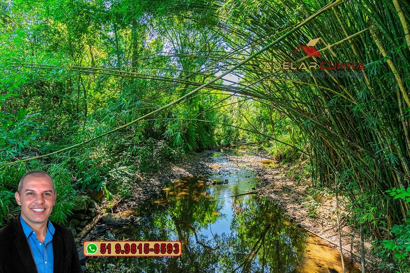 Sítio à Venda em Igrejinha: 3ª foto da galeria de imagens do imóvel