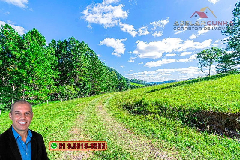Chácara com 3.7 hectares à VENDA em Lomba Grande - RS: 4ª foto da galeria de imagens do imóvel