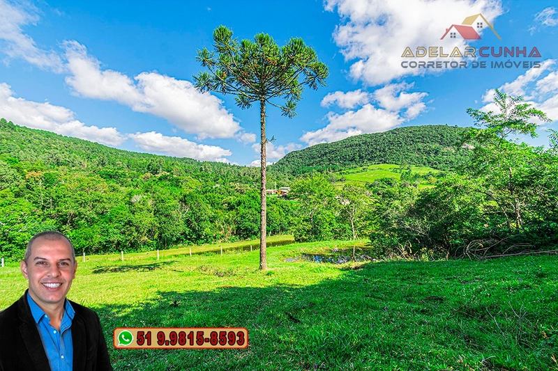 Chácara com 3.7 hectares à VENDA em Lomba Grande - RS: 79ª foto da galeria de imagens do imóvel