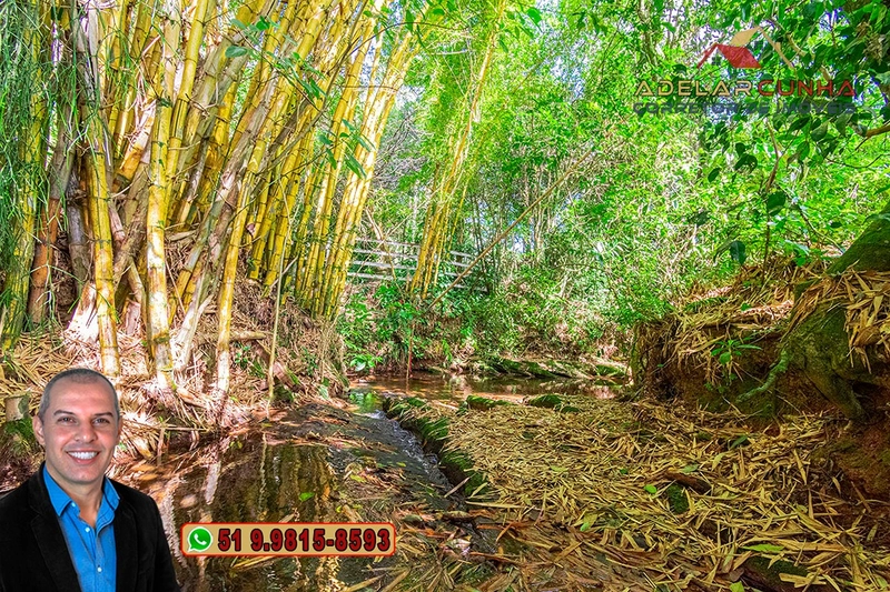 Chácara com 3.7 hectares à VENDA em Lomba Grande - RS: 69ª foto da galeria de imagens do imóvel