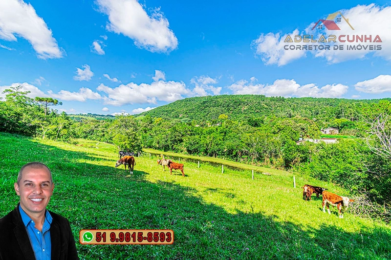 Chácara com 3.7 hectares à VENDA em Lomba Grande - RS: 83ª foto da galeria de imagens do imóvel