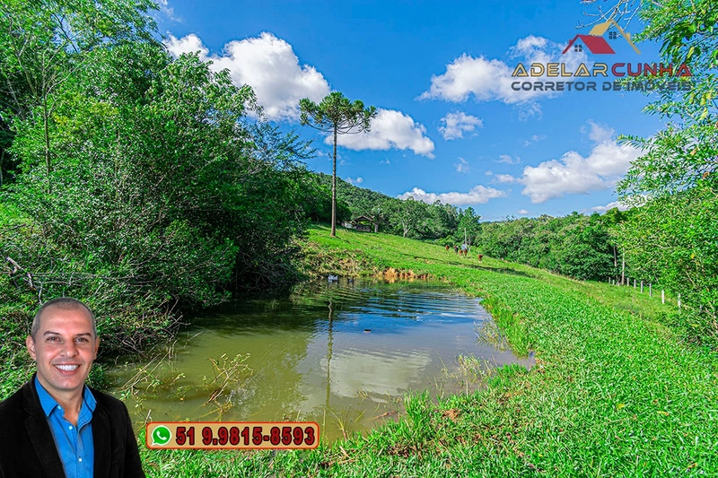 Chácara com 3.7 hectares à VENDA em Lomba Grande - RS: 81ª foto da galeria de imagens do imóvel