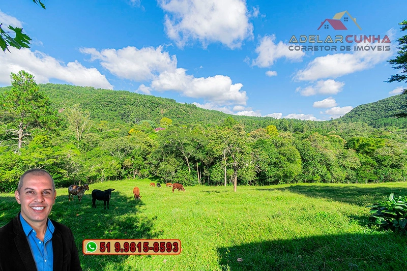 Chácara com 3.7 hectares à VENDA em Lomba Grande - RS: 29ª foto da galeria de imagens do imóvel
