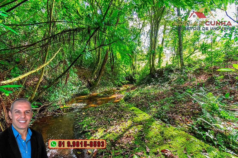 Chácara com 3.7 hectares à VENDA em Lomba Grande - RS: 64ª foto da galeria de imagens do imóvel