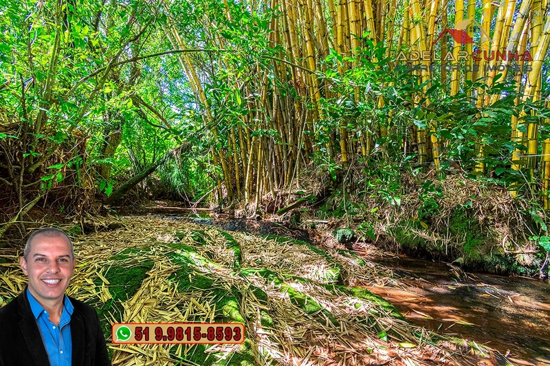 Chácara com 3.7 hectares à VENDA em Lomba Grande - RS: 67ª foto da galeria de imagens do imóvel