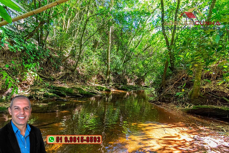 Chácara com 3.7 hectares à VENDA em Lomba Grande - RS: 71ª foto da galeria de imagens do imóvel
