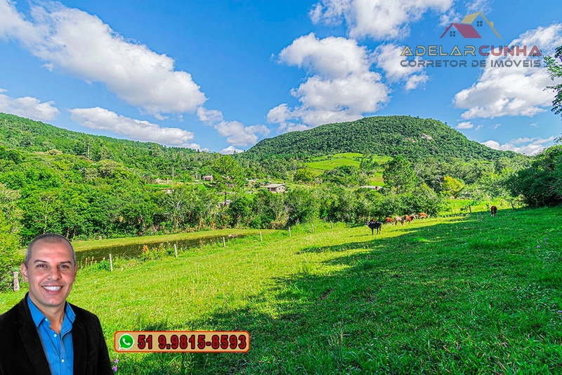 Chácara com 3.7 hectares à VENDA em Lomba Grande - RS: 82ª foto da galeria de imagens do imóvel